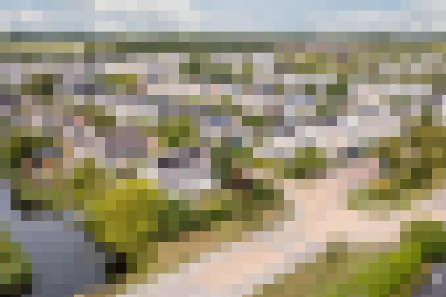 Zwarte Dolfijn 26 Heerhugowaard thumbnail 66