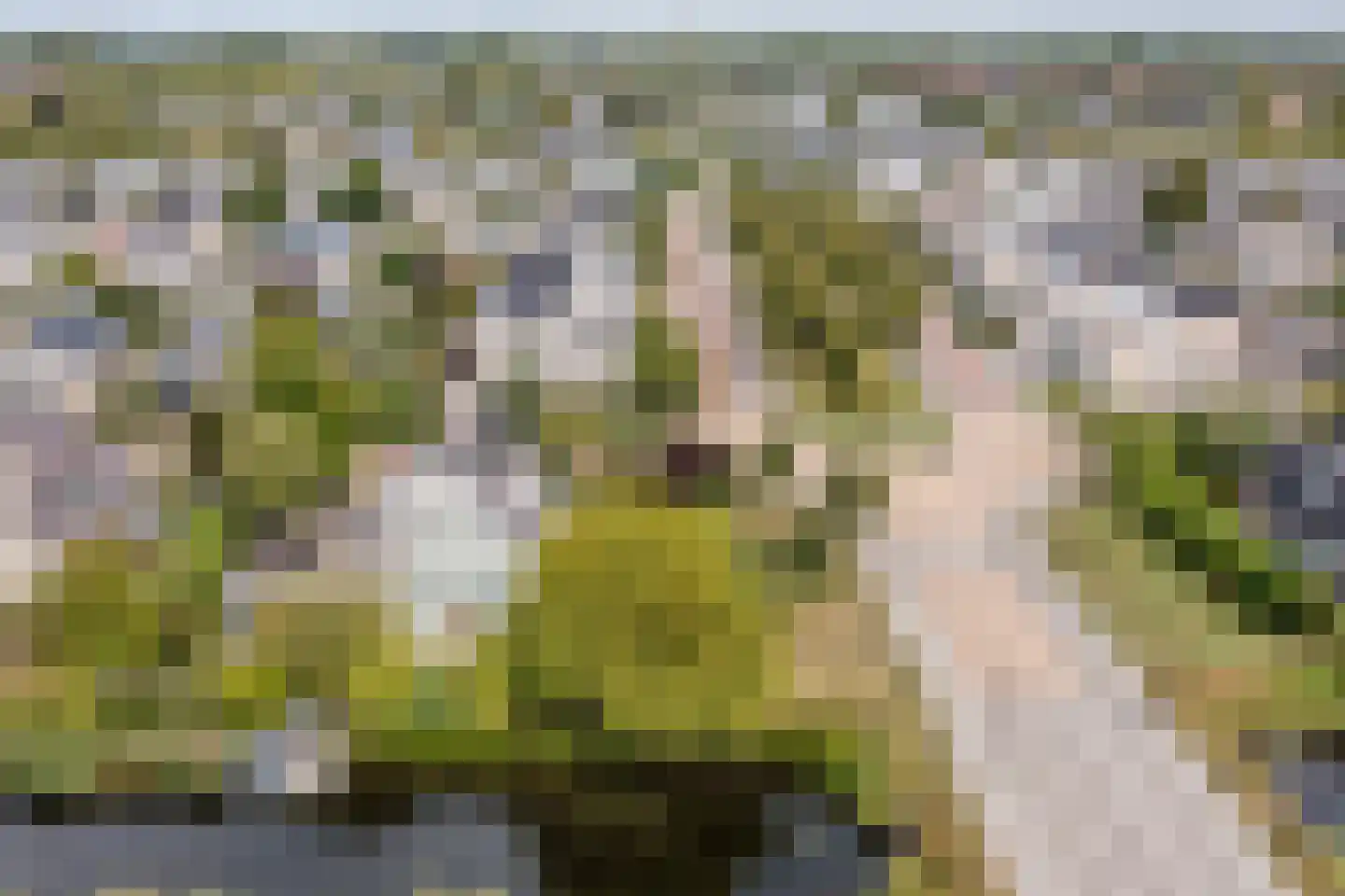 Zwarte Dolfijn 26 Heerhugowaard thumbnail 67