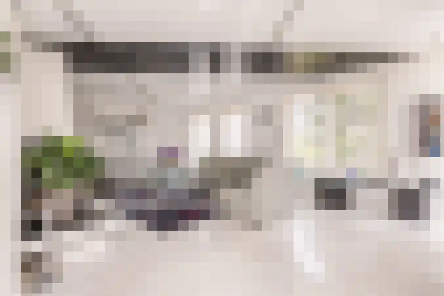Zwarte Dolfijn 26 Heerhugowaard thumbnail 7