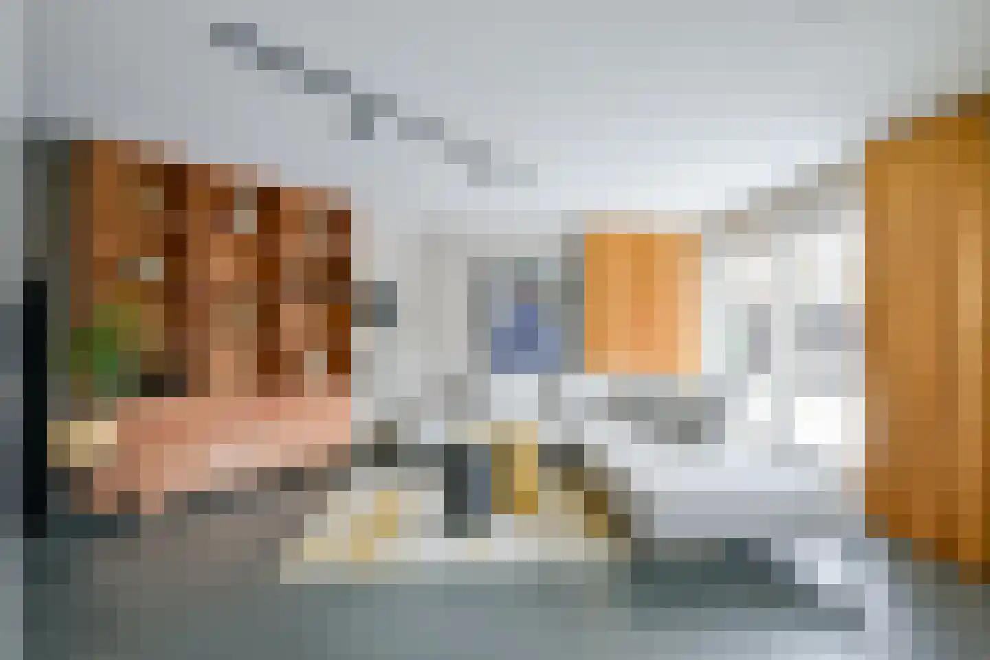Zwarte Dolfijn 27 Heerhugowaard thumbnail 11