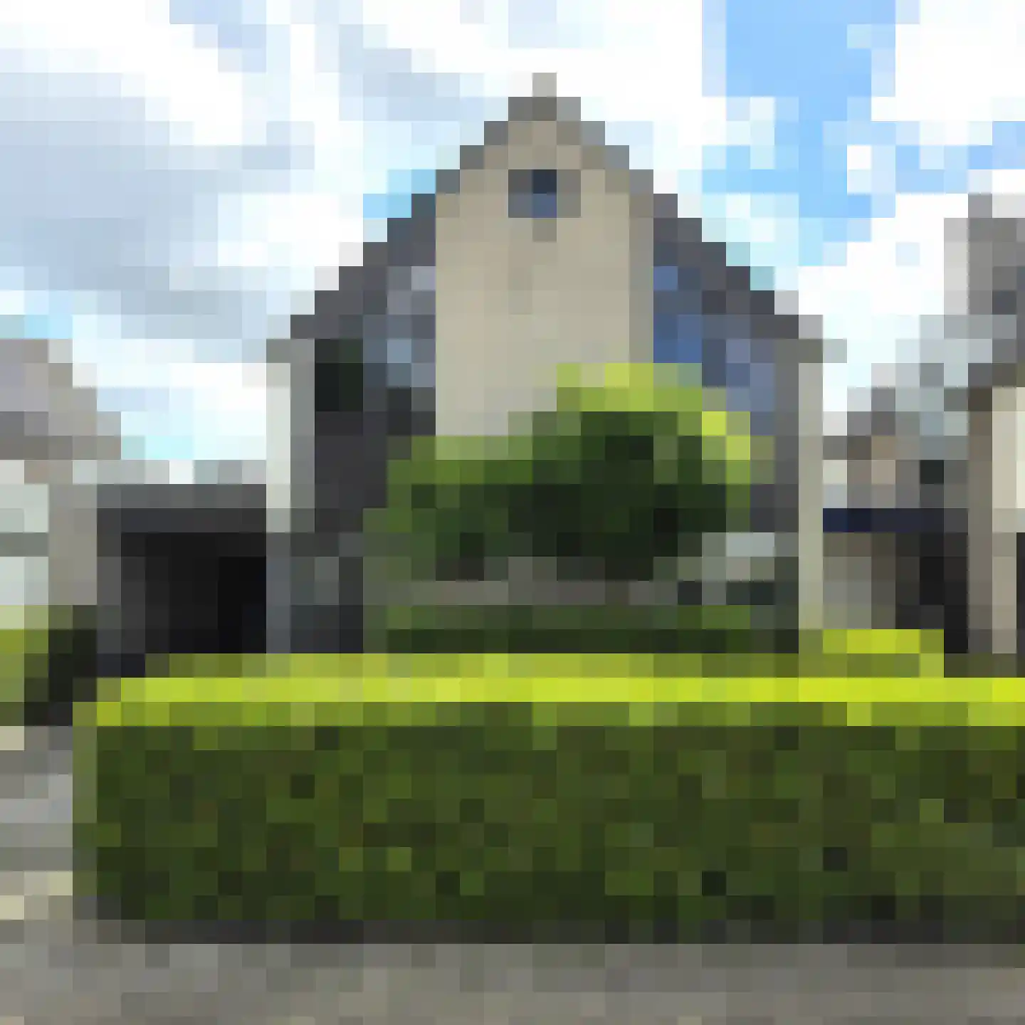 Zwarte Dolfijn 27 Heerhugowaard thumbnail 14