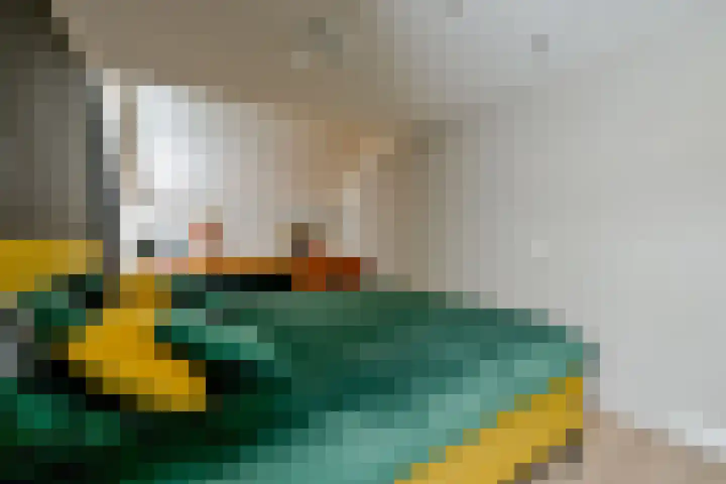 Zwarte Dolfijn 27 Heerhugowaard thumbnail 25