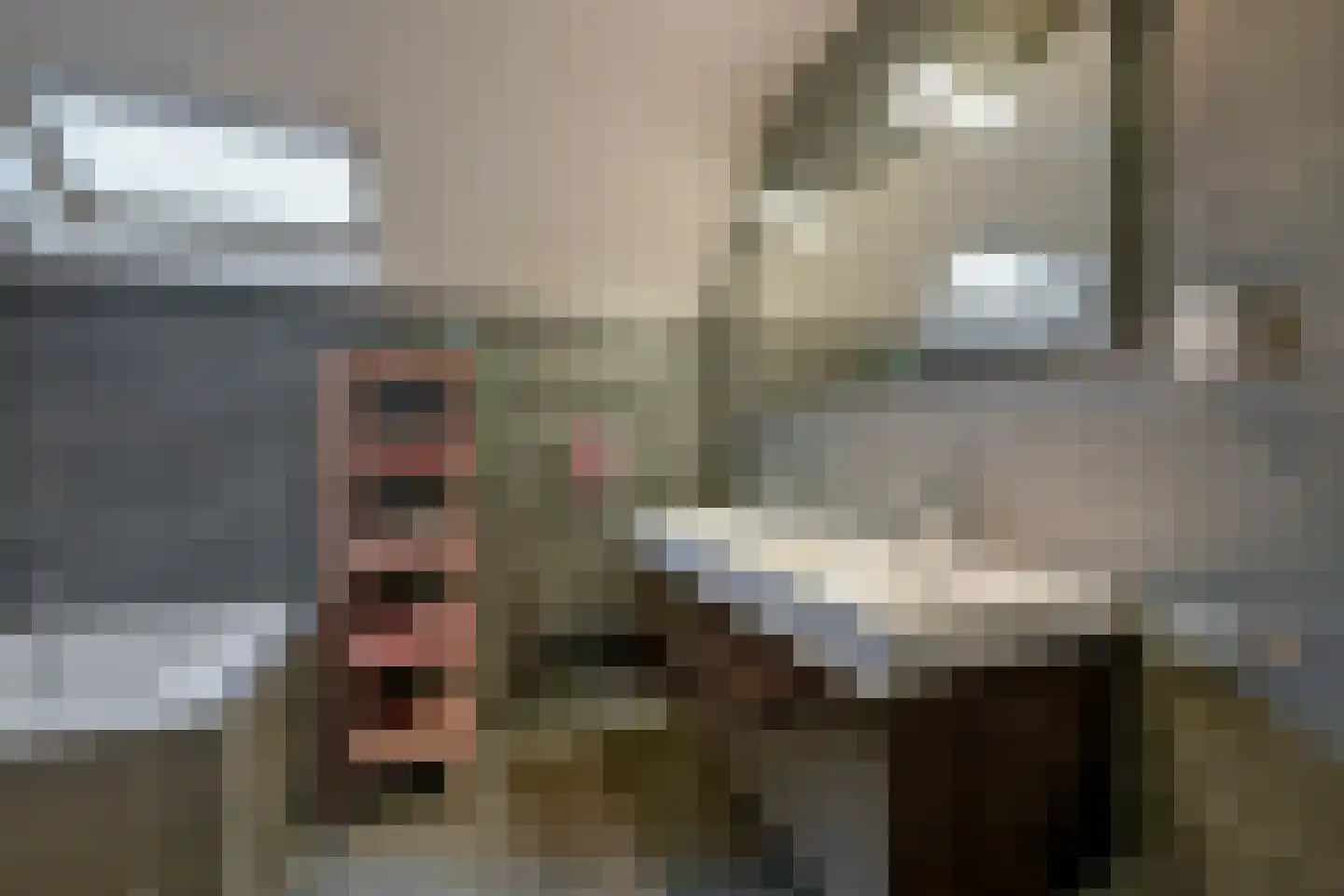 Zwarte Dolfijn 27 Heerhugowaard thumbnail 33