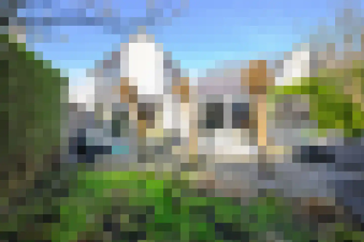 Zwarte Dolfijn 27 Heerhugowaard thumbnail 4
