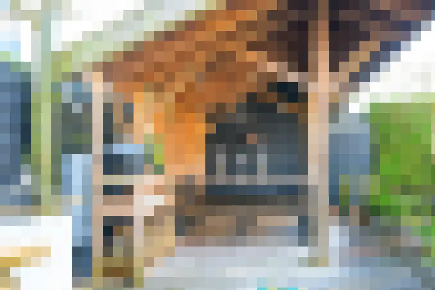 Zwarte Dolfijn 27 Heerhugowaard thumbnail 5