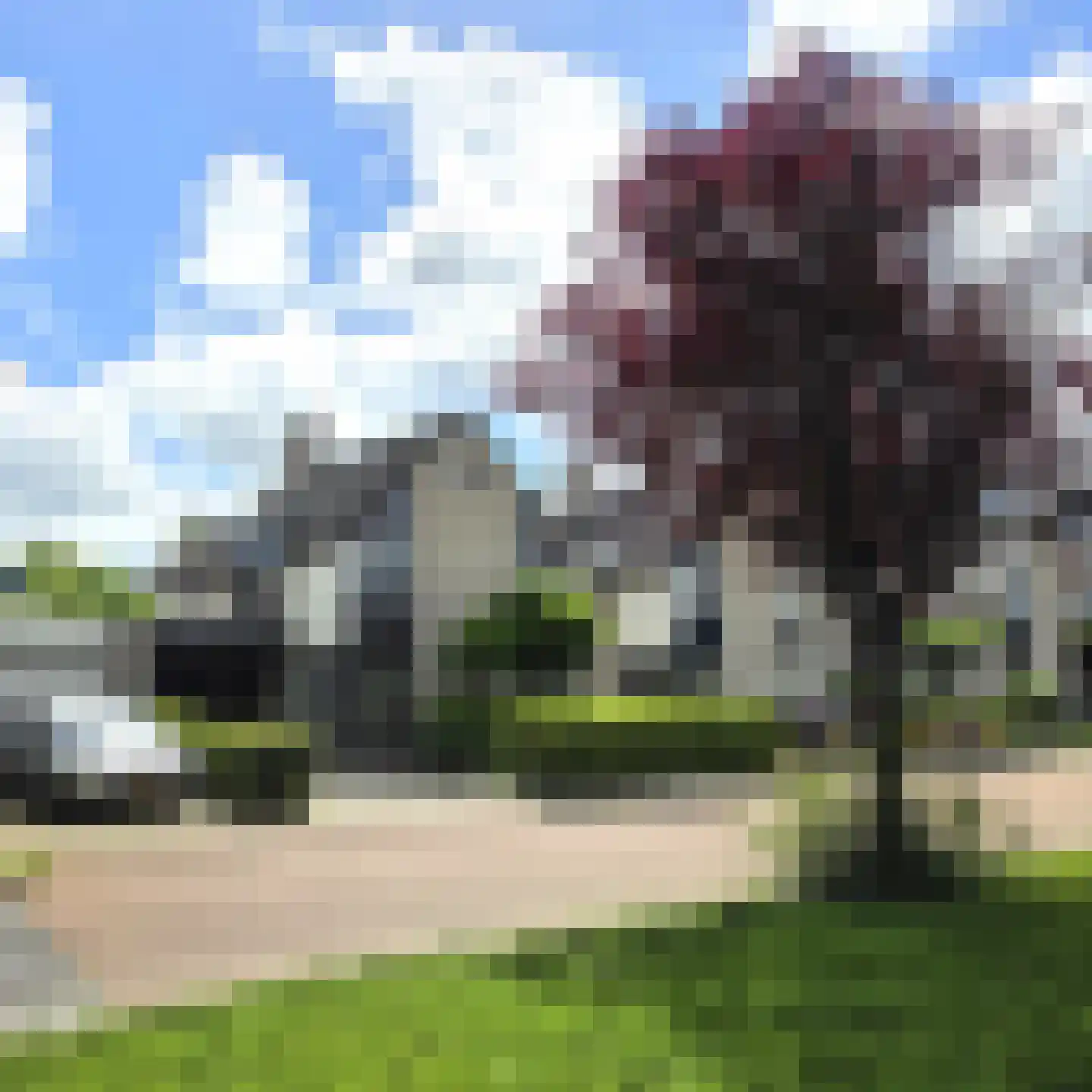 Zwarte Dolfijn 27 Heerhugowaard thumbnail 61