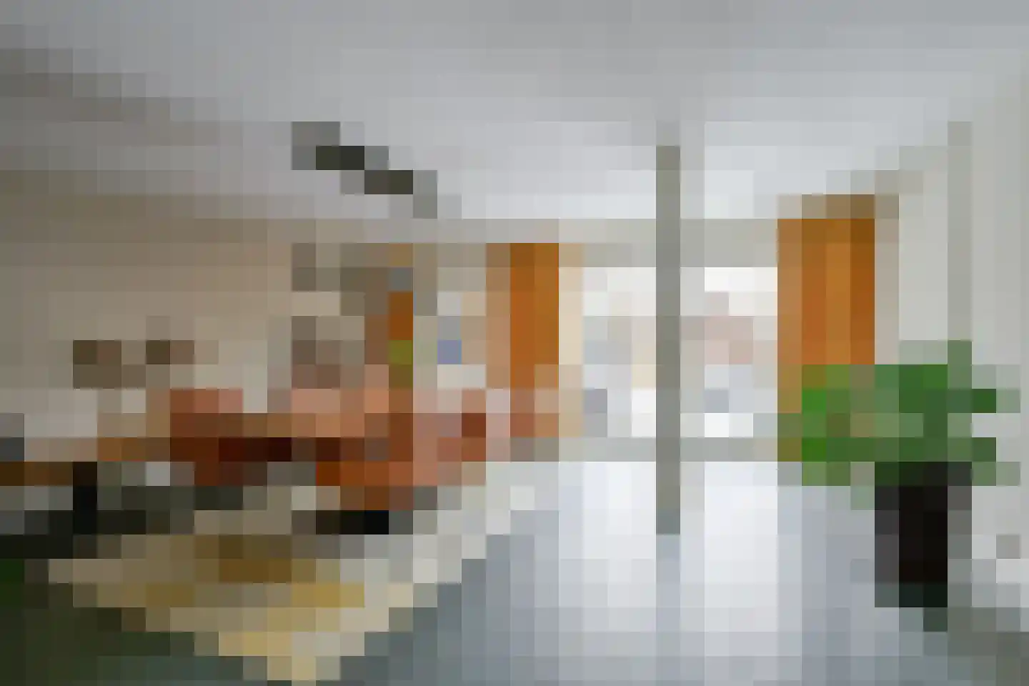 Zwarte Dolfijn 27 Heerhugowaard thumbnail 8