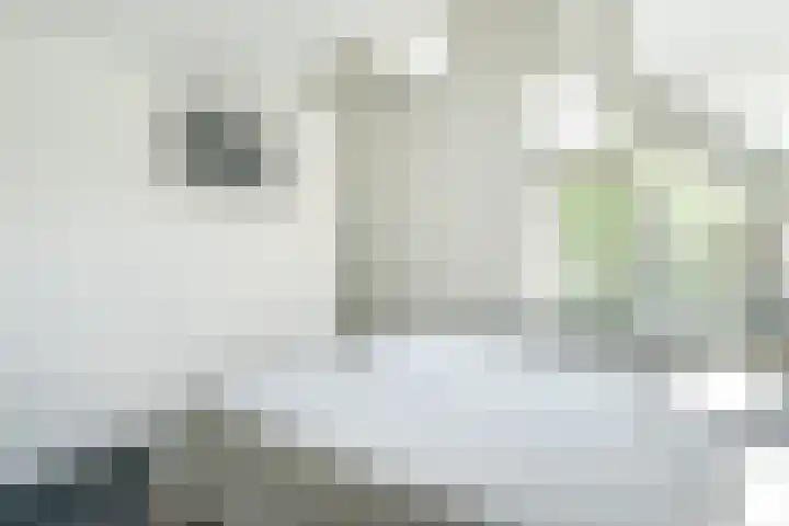 Zwarte Dolfijn 33 Heerhugowaard thumbnail 33
