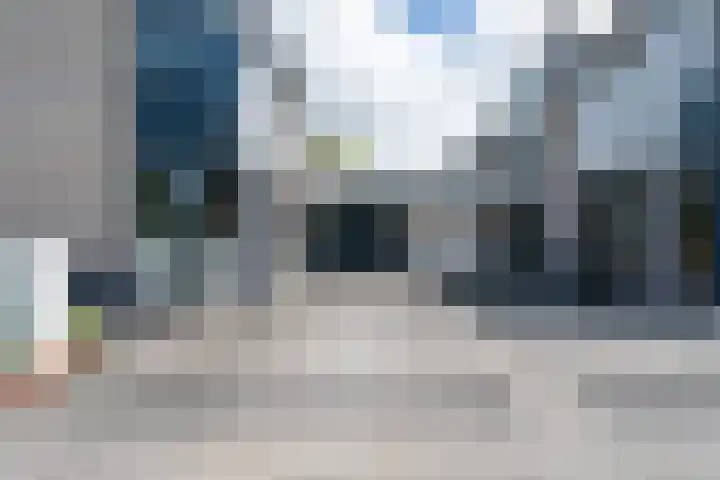 Zwarte Dolfijn 33 Heerhugowaard thumbnail 5
