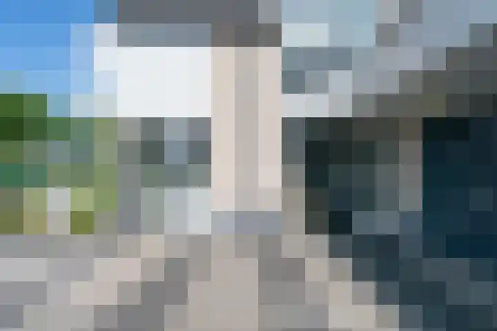 Zwarte Dolfijn 33 Heerhugowaard thumbnail 6