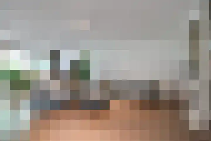 Zwarte Dolfijn 33 Heerhugowaard thumbnail 8