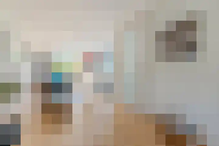 Zwarte Dolfijn 61 Heerhugowaard thumbnail 8