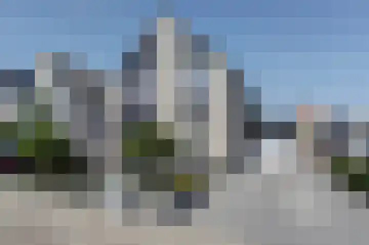 Zwarte Dolfijn 65 Heerhugowaard thumbnail 36