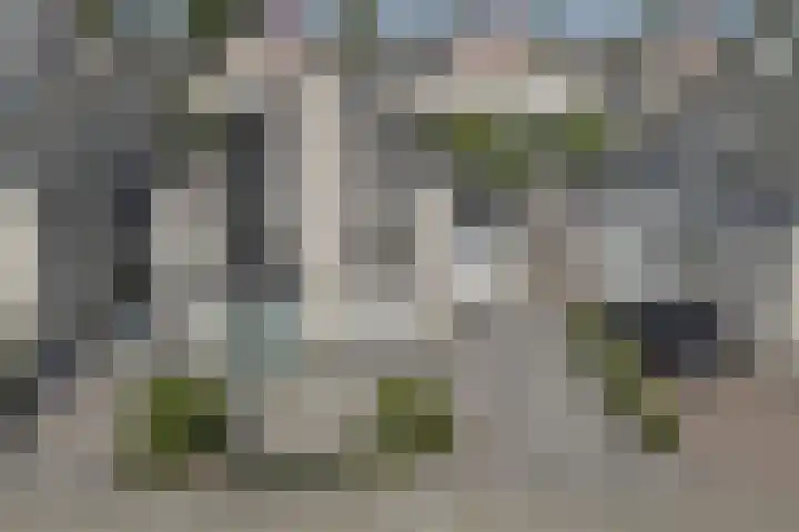 Zwarte Dolfijn 65 Heerhugowaard thumbnail 37