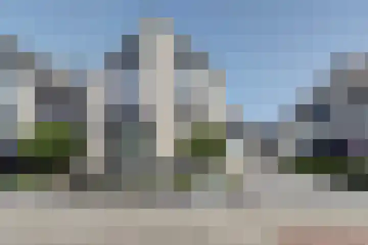 Zwarte Dolfijn 65 Heerhugowaard thumbnail 47