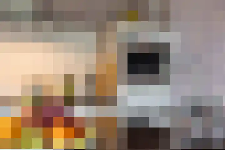 Zwarte Els 12 Leek thumbnail 16