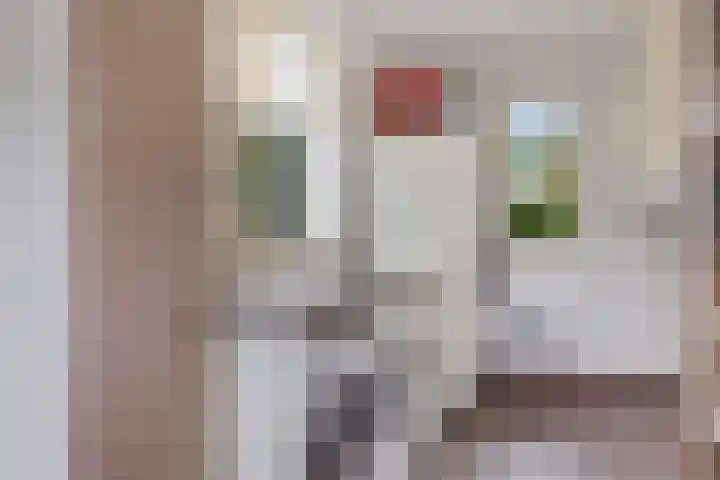 Zwarte Els 12 Leek thumbnail 21