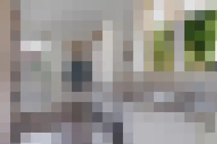 Zwarte Els 12 Leek thumbnail 22