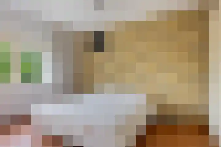 Zwarte Els 12 Leek thumbnail 25