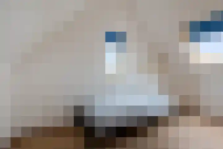 Zwarte Els 12 Leek thumbnail 37