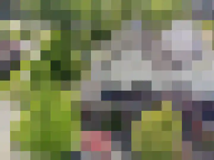Zwarte Els 12 Leek thumbnail 42