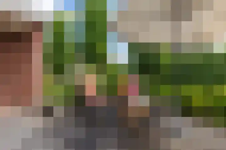 Zwarte Els 12 Leek thumbnail 46