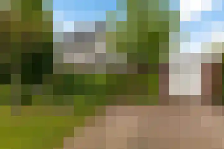Zwarte Els 12 Leek thumbnail 49