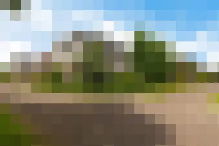 Zwarte Els 12 Leek thumbnail 51