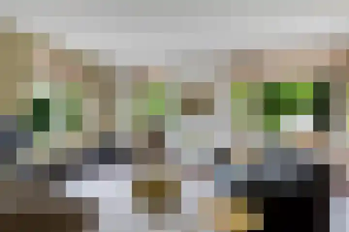 Zwarte Els 12 Leek thumbnail 9