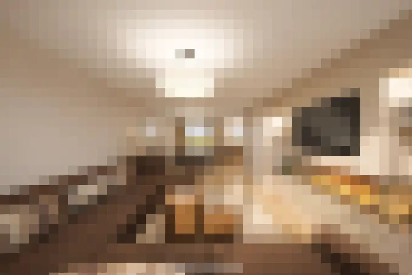 Zwarte Graaf 28 Doenrade thumbnail 11