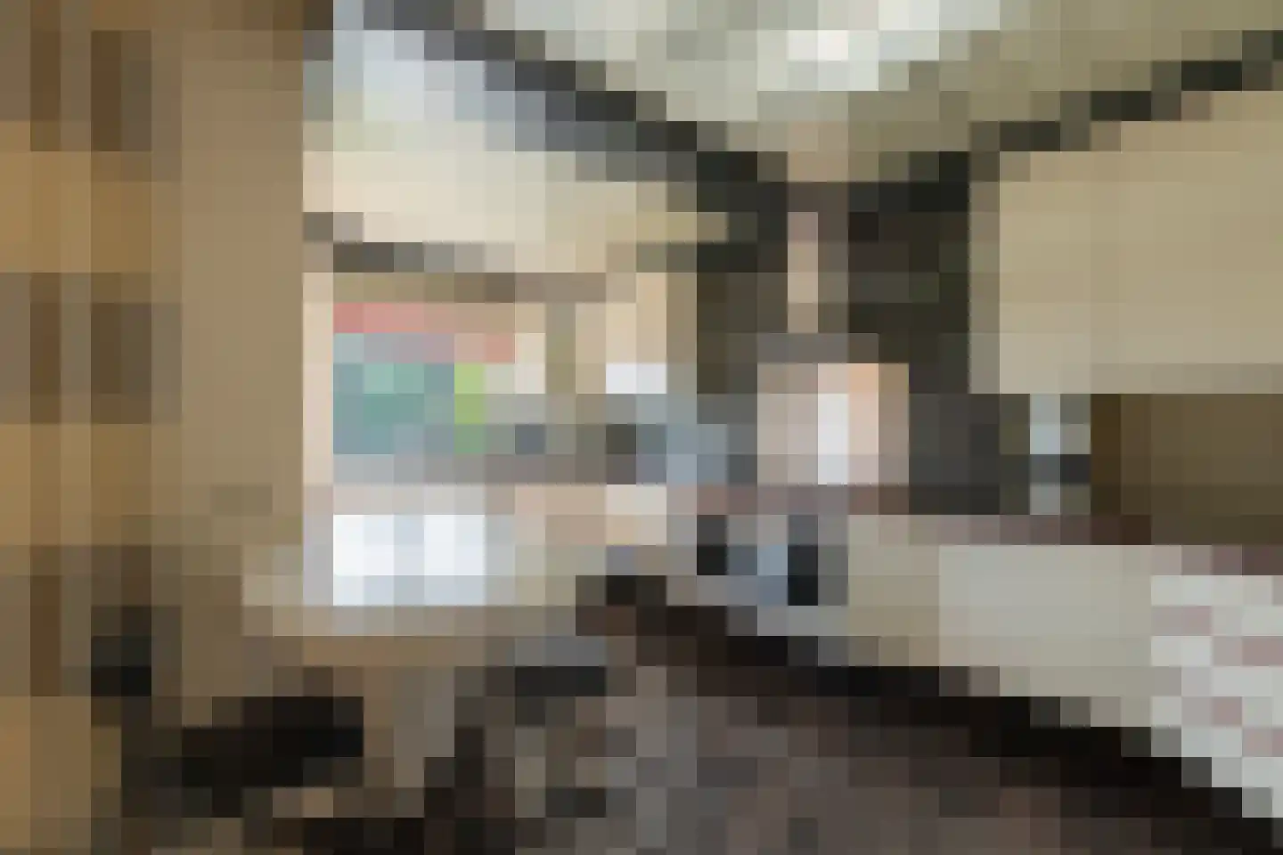 Zwarte Graaf 28 Doenrade thumbnail 17