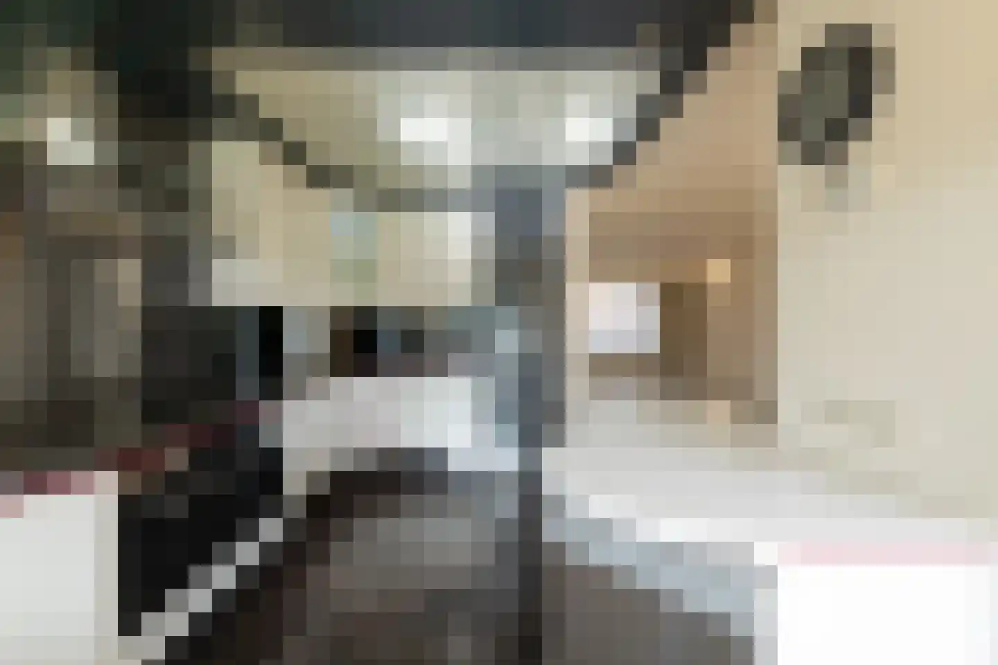 Zwarte Graaf 28 Doenrade thumbnail 20