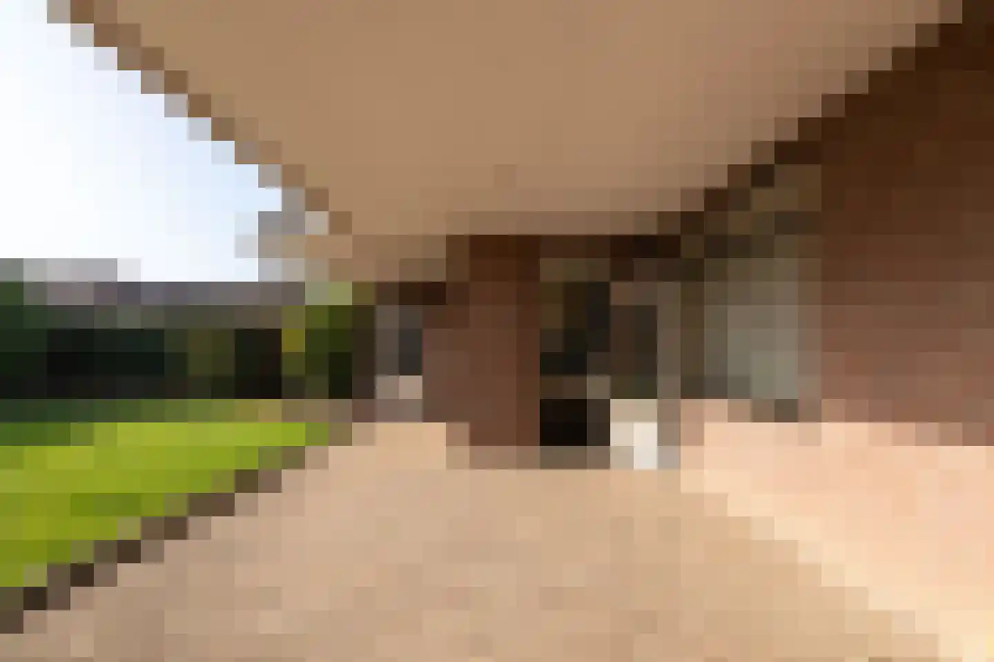 Zwarte Graaf 28 Doenrade thumbnail 55
