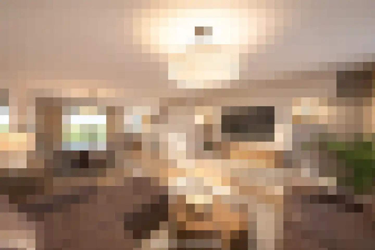 Zwarte Graaf 28 Doenrade thumbnail 9