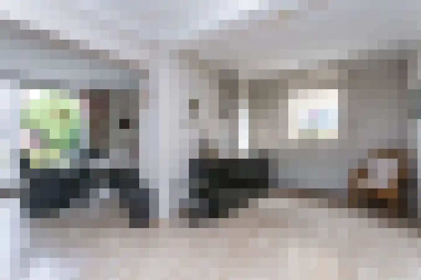 Zwarte Graaf 3 Doenrade thumbnail 12