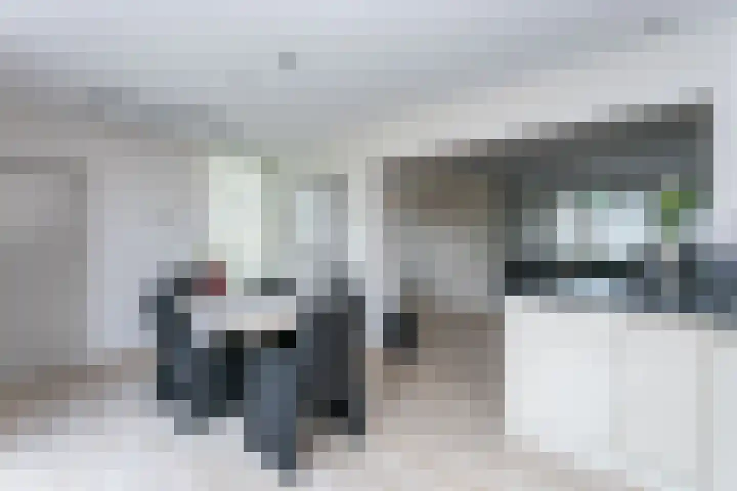 Zwarte Graaf 3 Doenrade thumbnail 13