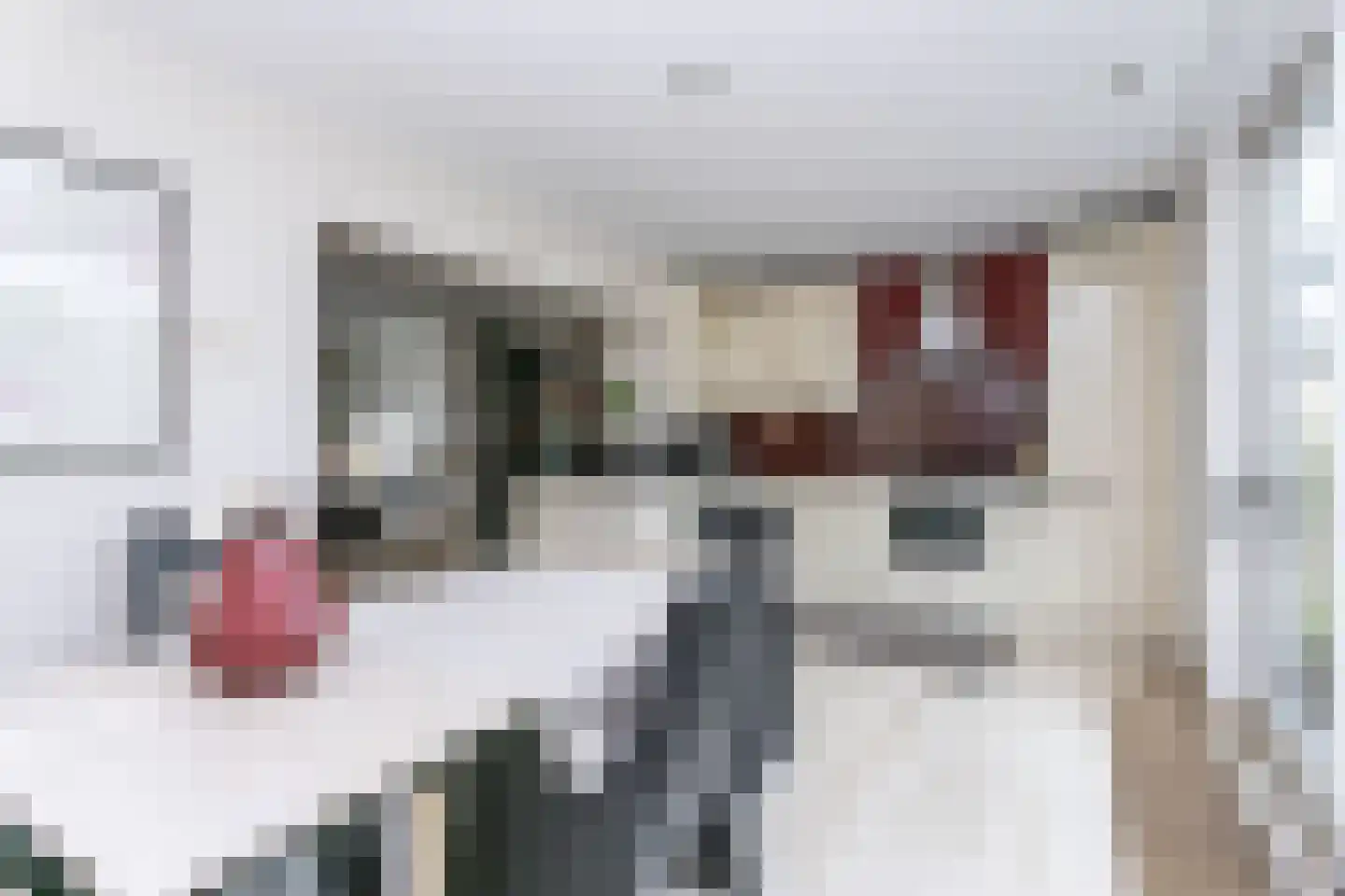 Zwarte Graaf 3 Doenrade thumbnail 14