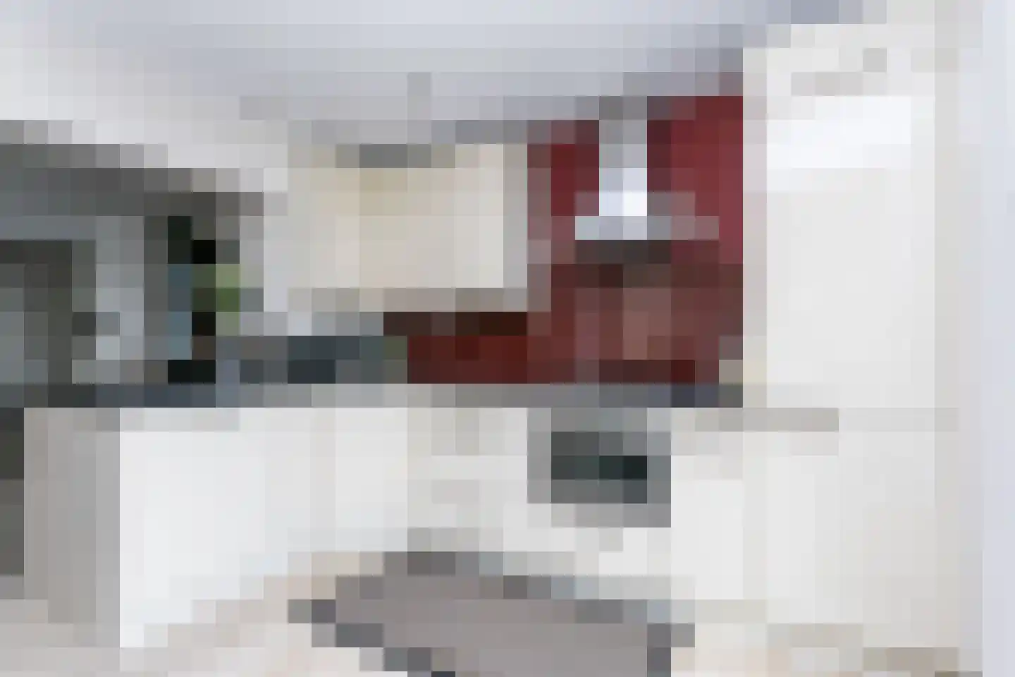 Zwarte Graaf 3 Doenrade thumbnail 15