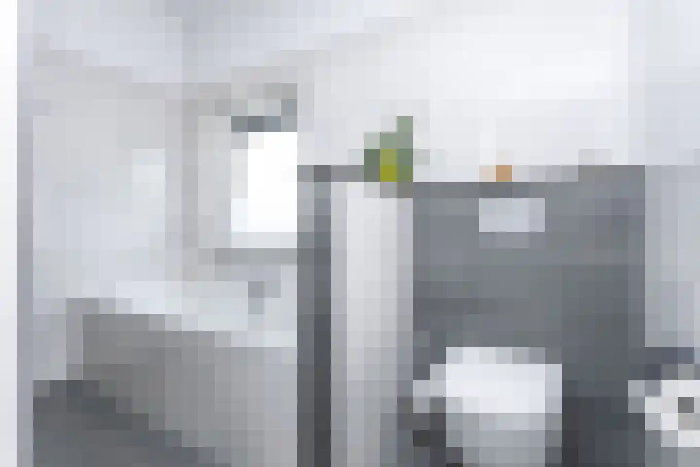Zwarte Graaf 3 Doenrade thumbnail 29