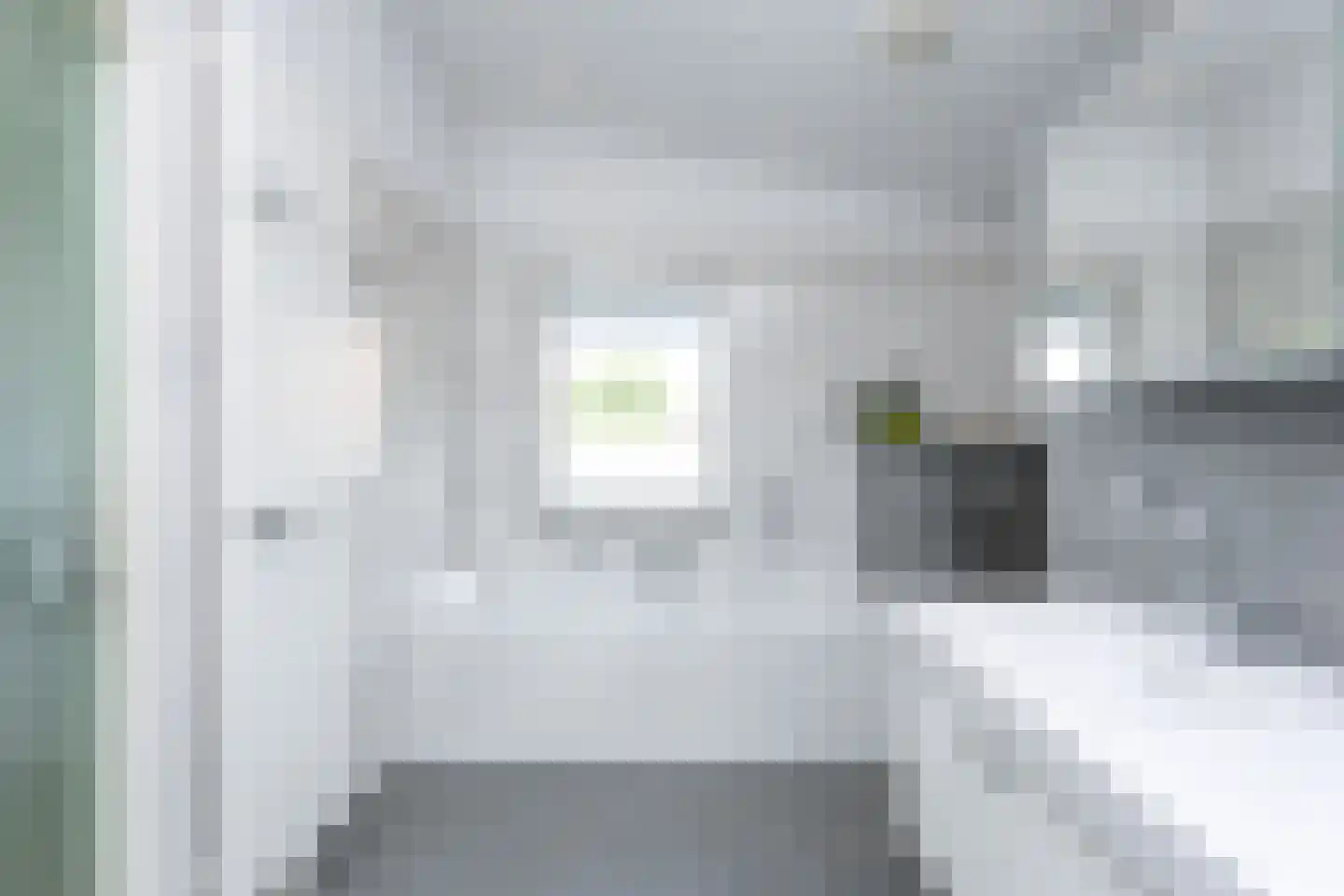 Zwarte Graaf 3 Doenrade thumbnail 30