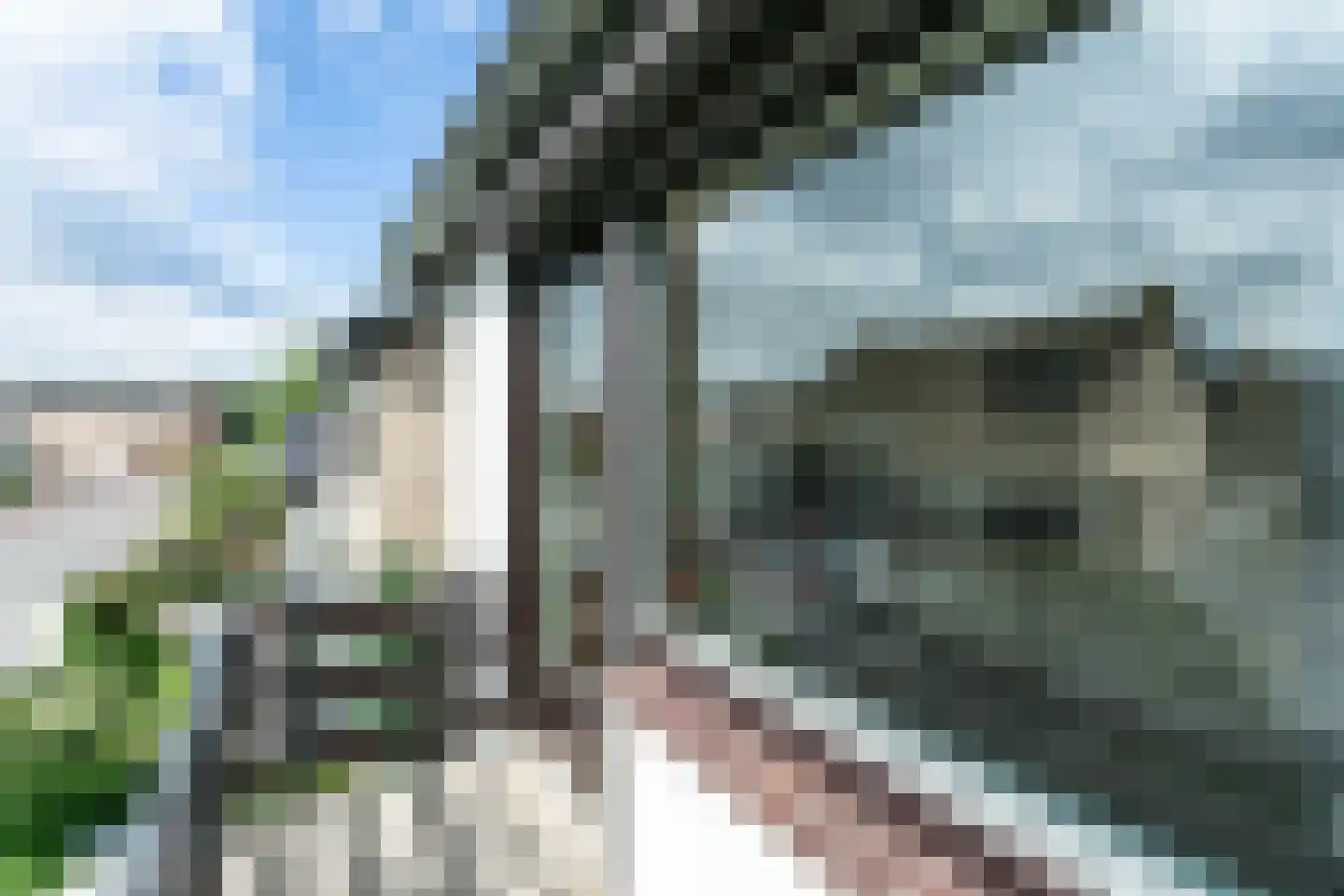 Zwarte Graaf 3 Doenrade thumbnail 38