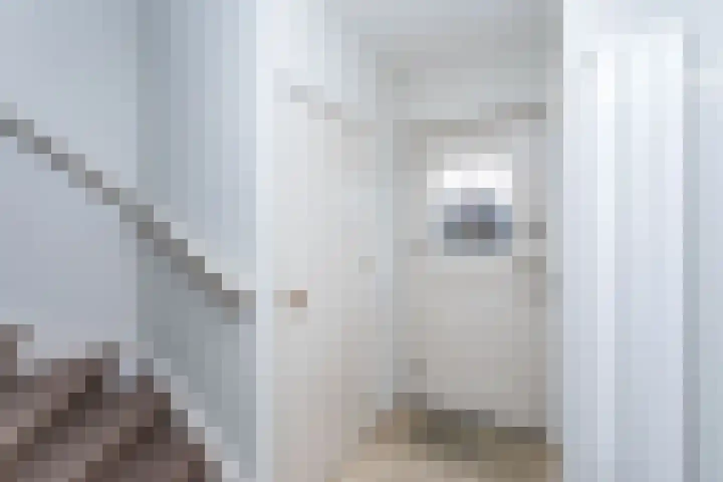 Zwarte Graaf 3 Doenrade thumbnail 4