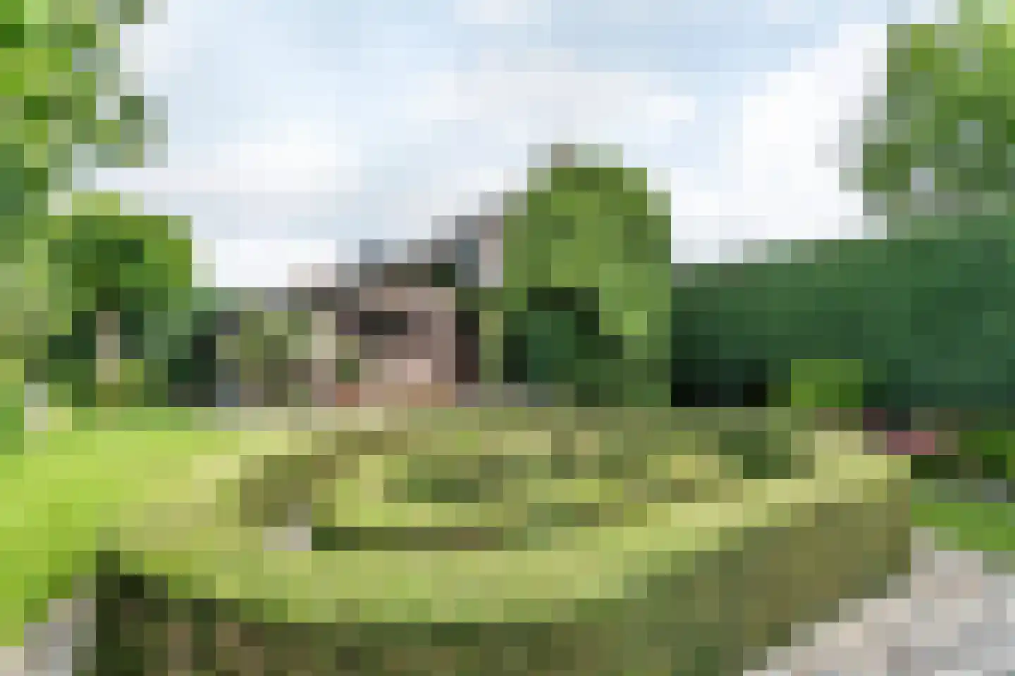 Zwarte Graaf 3 Doenrade thumbnail 49