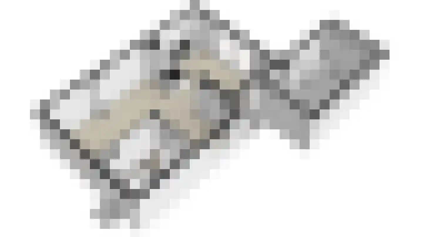 Zwarte Graaf 3 Doenrade thumbnail 60