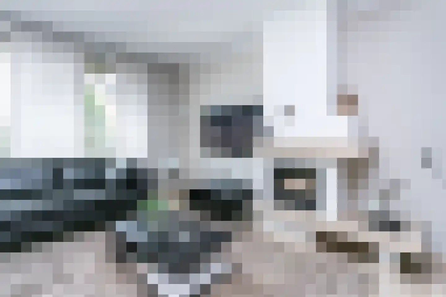 Zwarte Graaf 3 Doenrade thumbnail 7