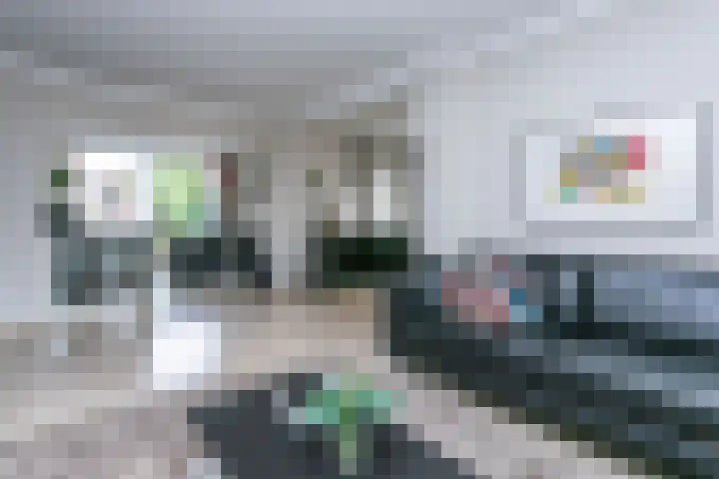 Zwarte Graaf 3 Doenrade thumbnail 9