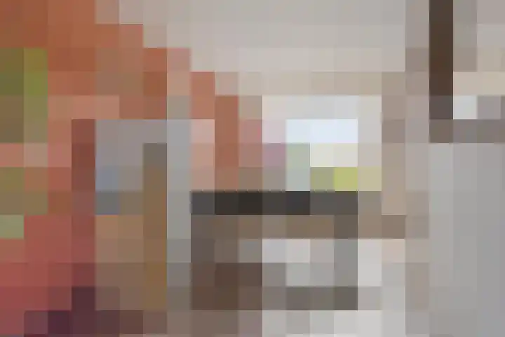 Zwarte Graaf 38 Doenrade thumbnail 15