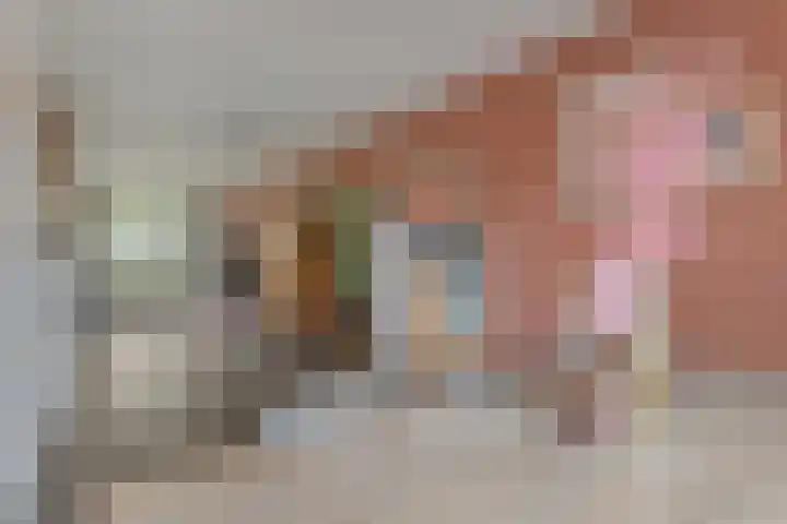 Zwarte Graaf 38 Doenrade thumbnail 17