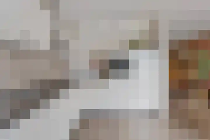 Zwarte Graaf 38 Doenrade thumbnail 19