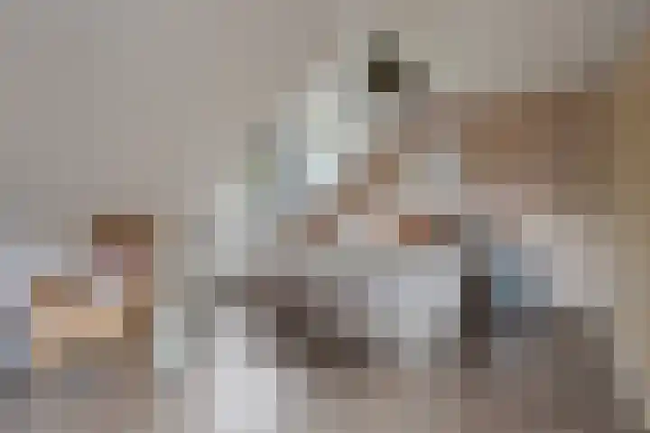 Zwarte Graaf 38 Doenrade thumbnail 24